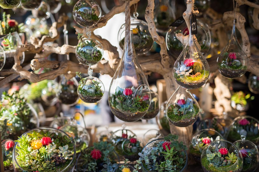 A group of floating terrariums.