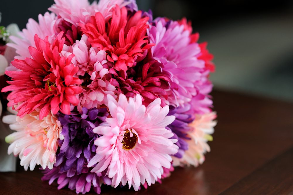 A bunch of Gerbera daisies.