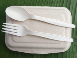 A biodegradable lunch container, spoon, and fork.