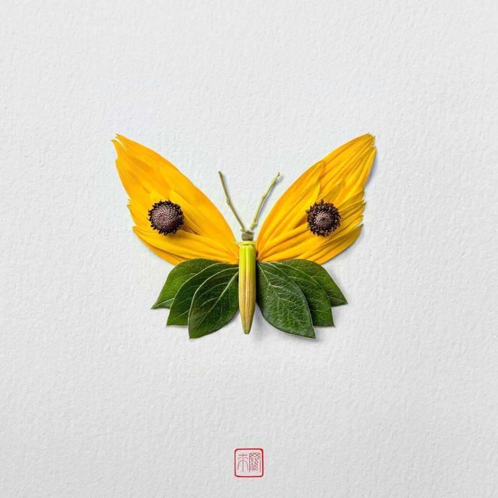 A butterfly made out of natural products