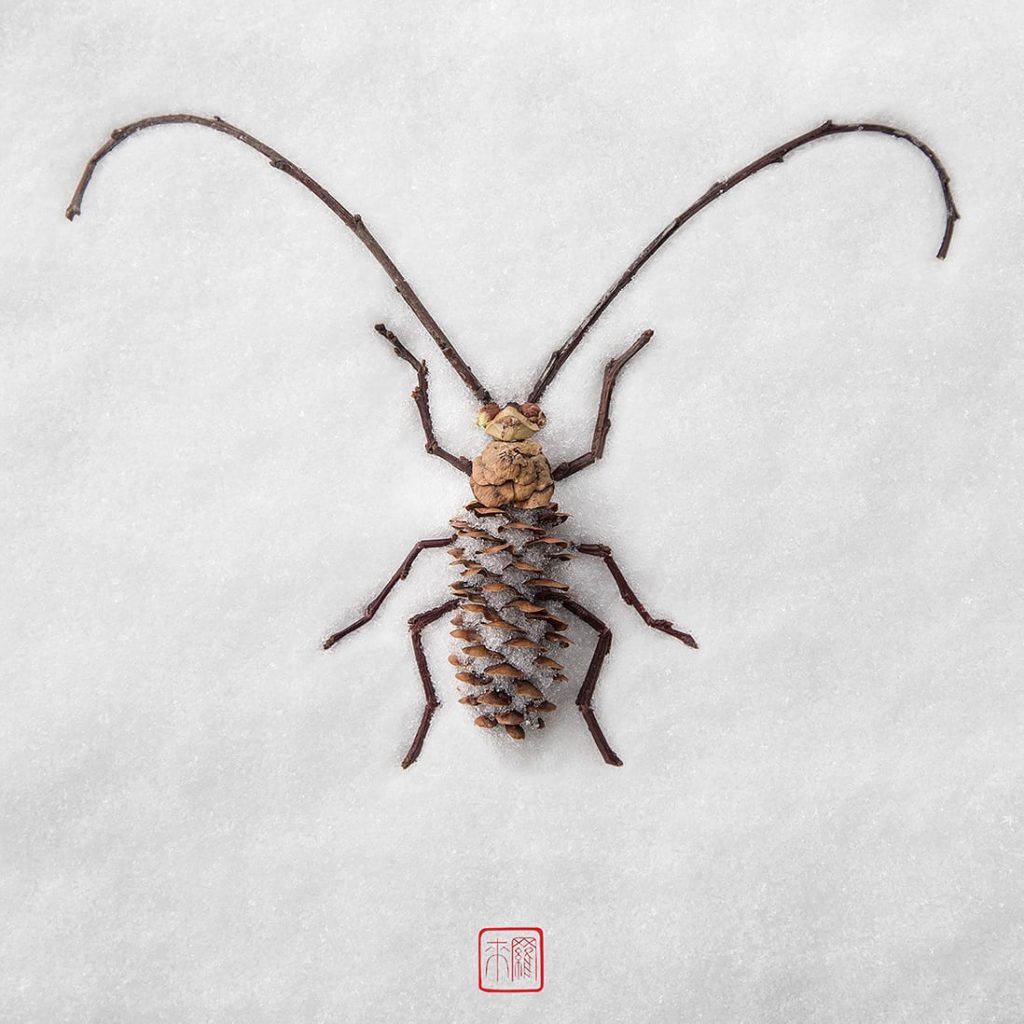 A bettle made from sticks and a pinecone