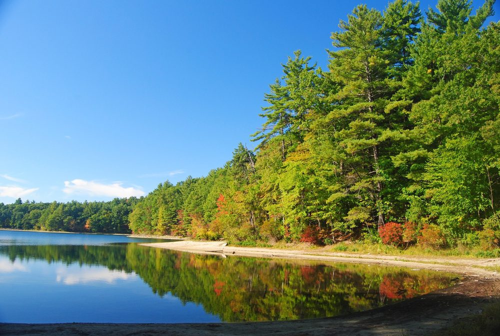 Walden Pond in autumn