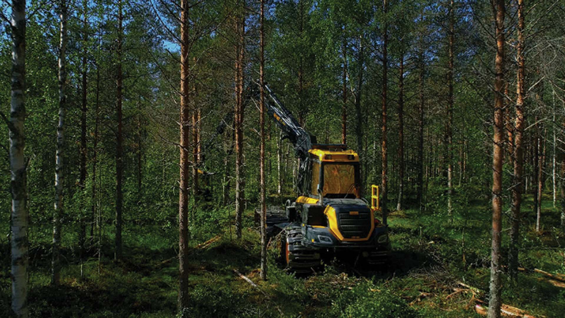 Ponsse Harvester Truck Thinning a Forest