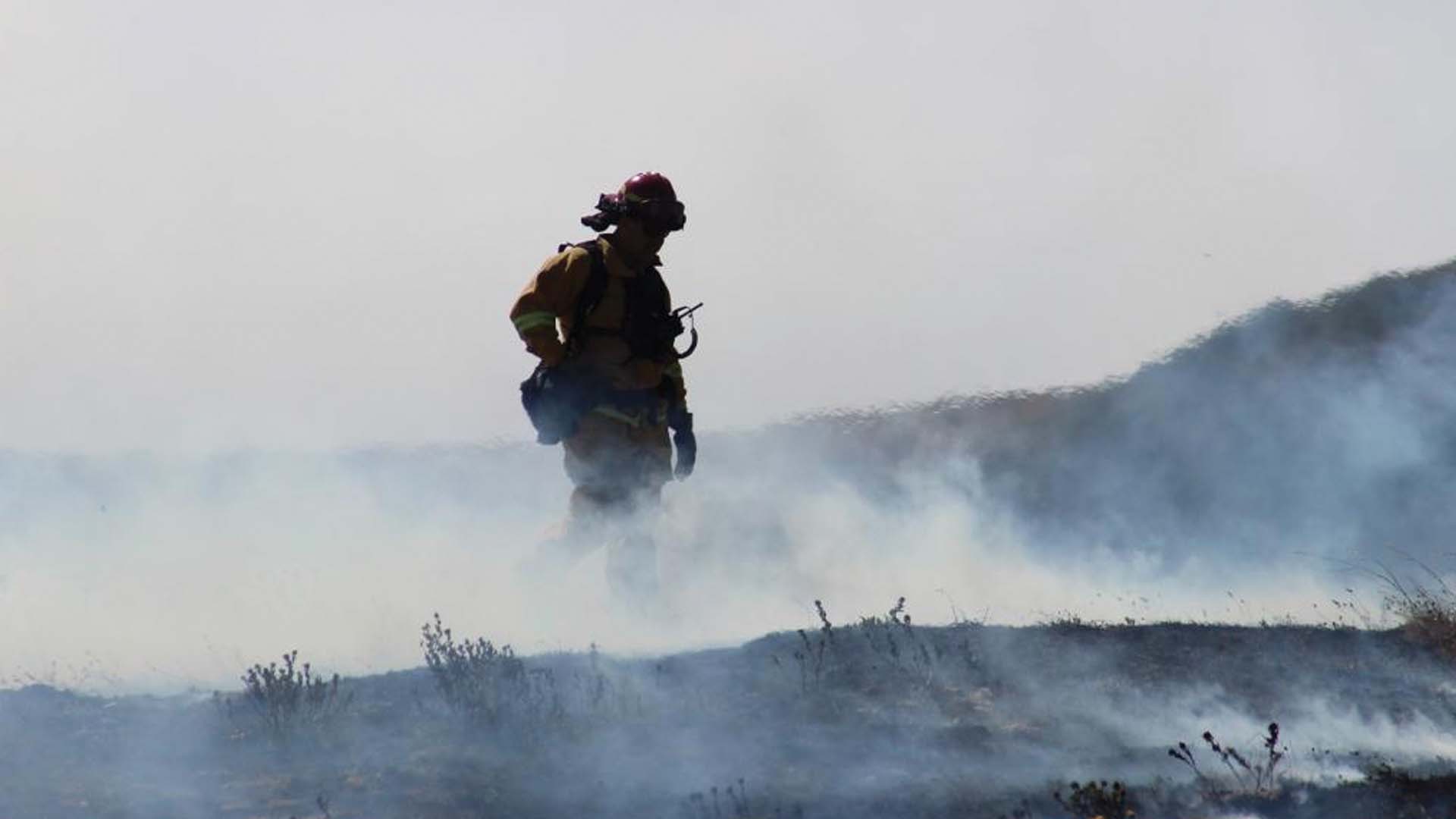Firefighter puts water on the forest fire