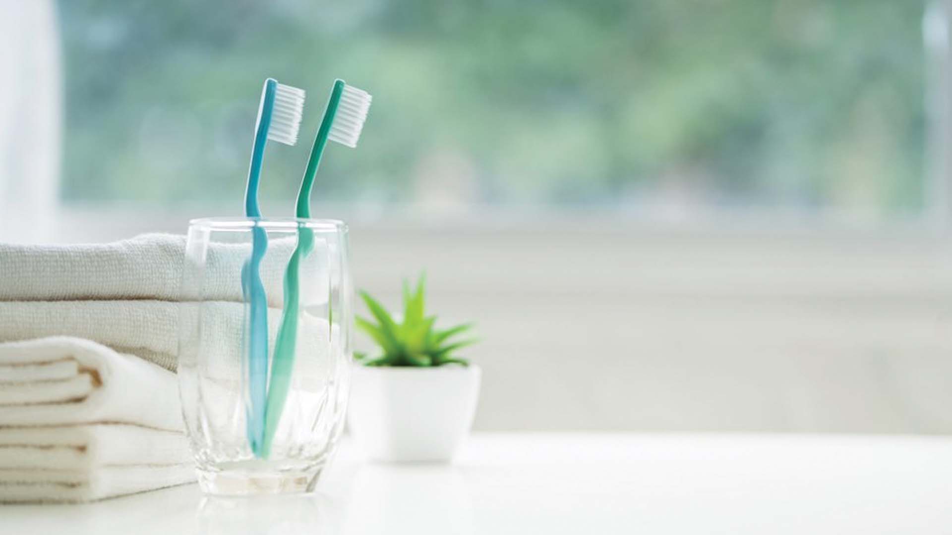 hygienic toothbrushes