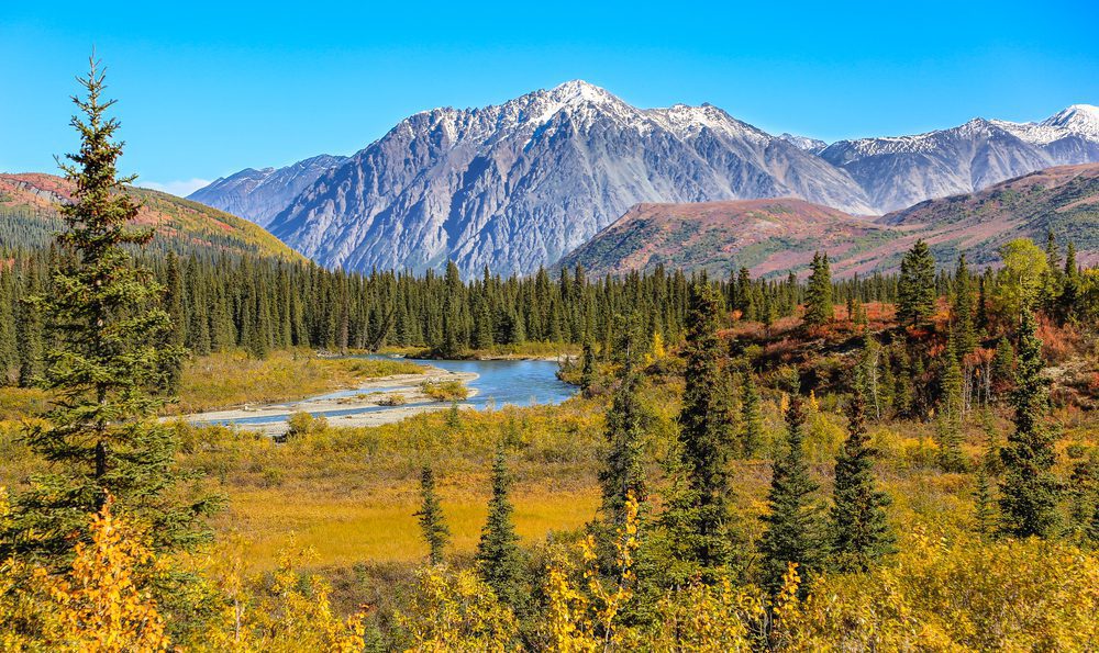 Tomorrow's World Today Denali National Park 1