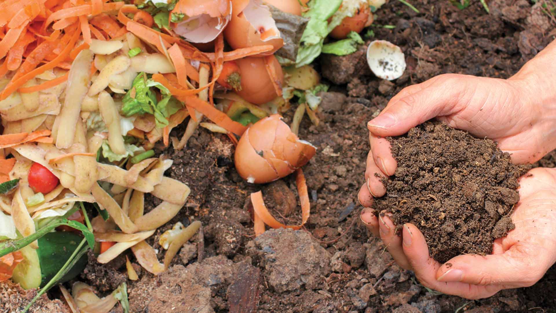 An individual compost pile