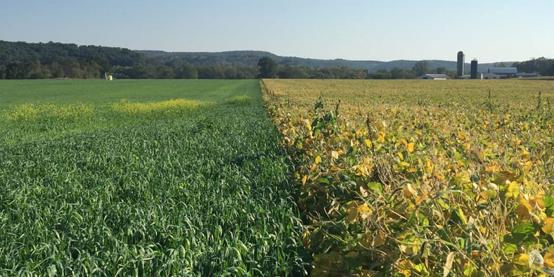 Side-by-side comparison of regenerative vs. traditional agriculture