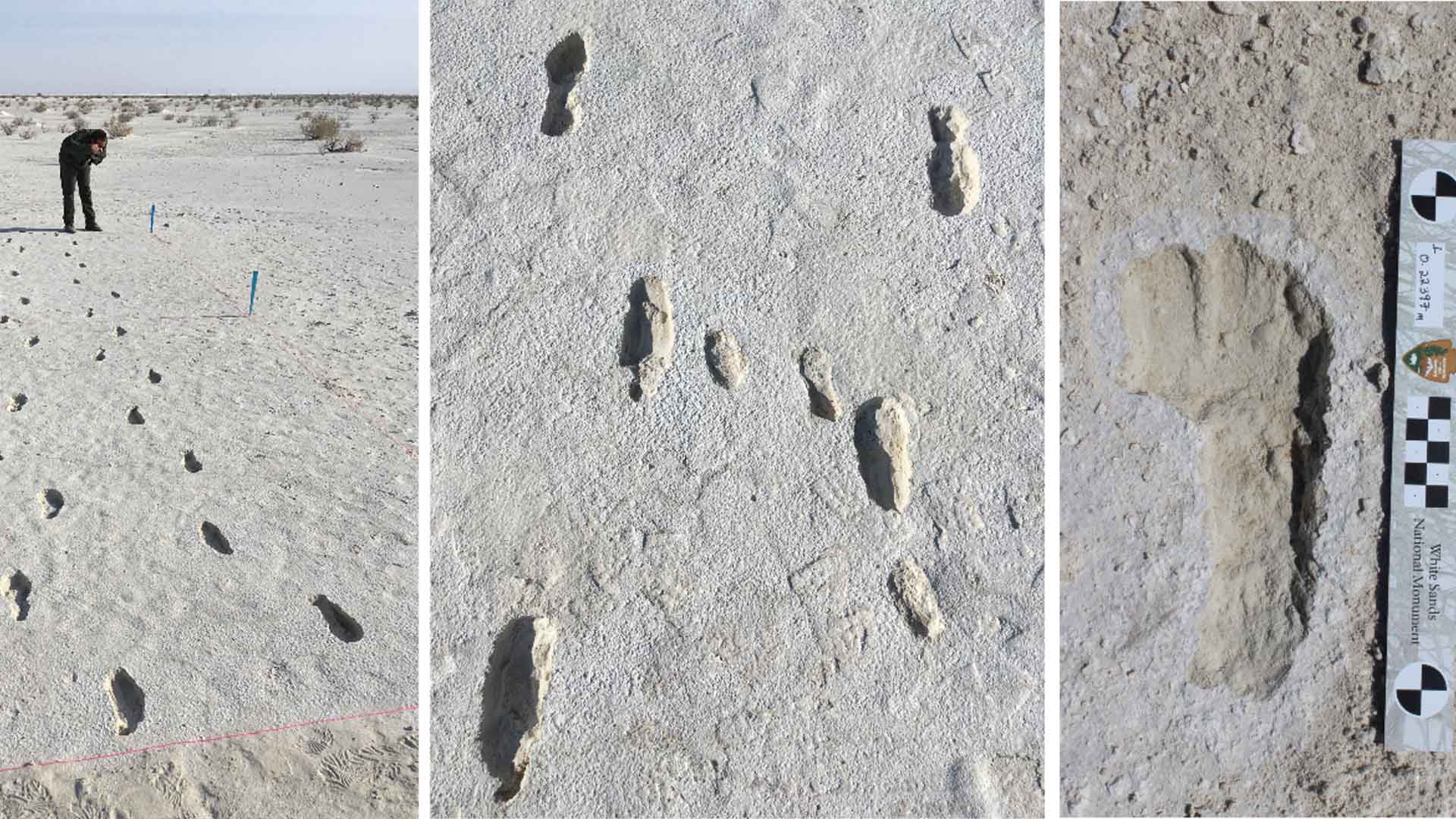 Adult and children footprints in White Sands National Park