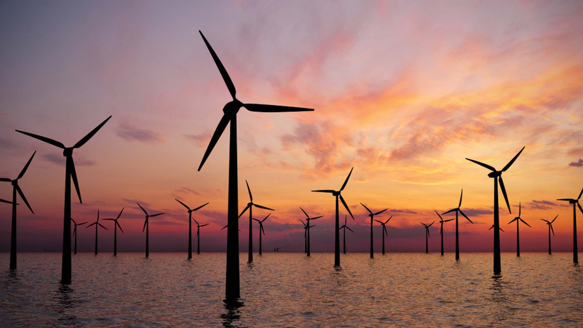 Off-shore wind farm, a way to reach the net-zero carbon emission goal