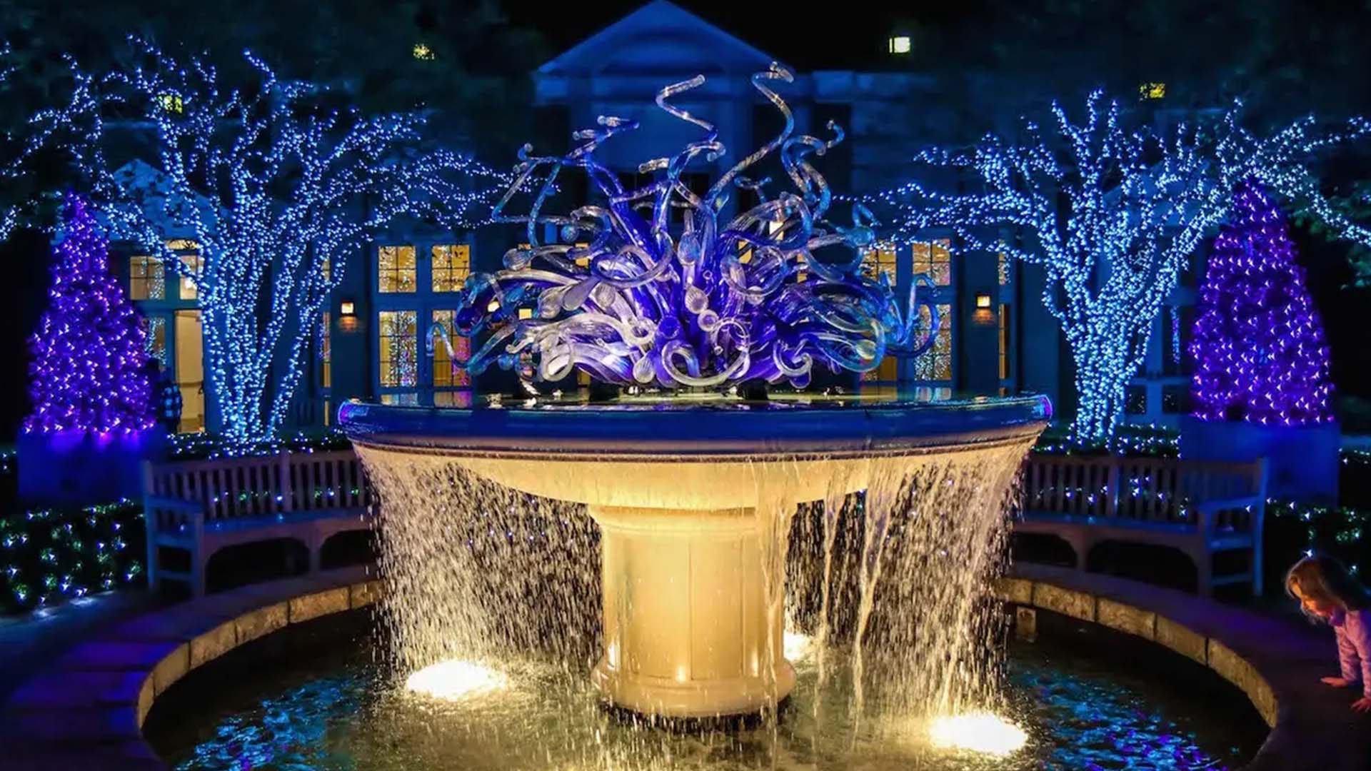 Atlanta Botanical Garden lights during the holiday season