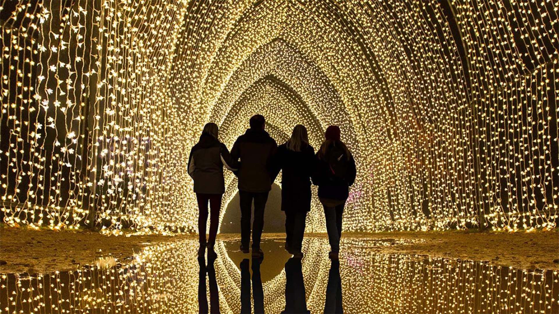 Chicago Botanic Garden's holiday lights