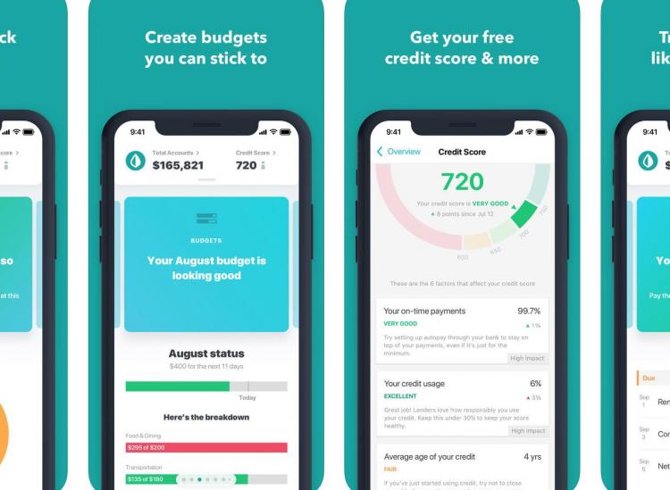 Mint shopping app to save money