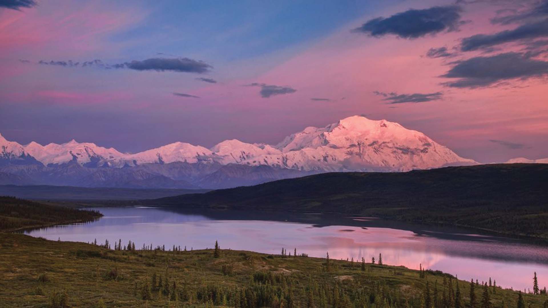 Alaska's denali national park travel destination