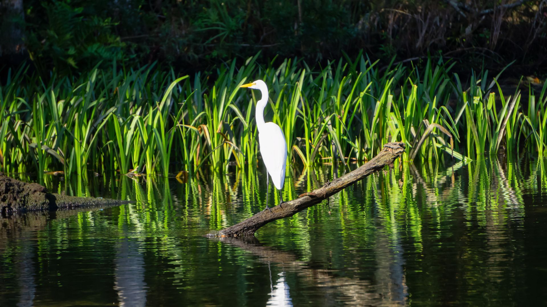Everglades National Park