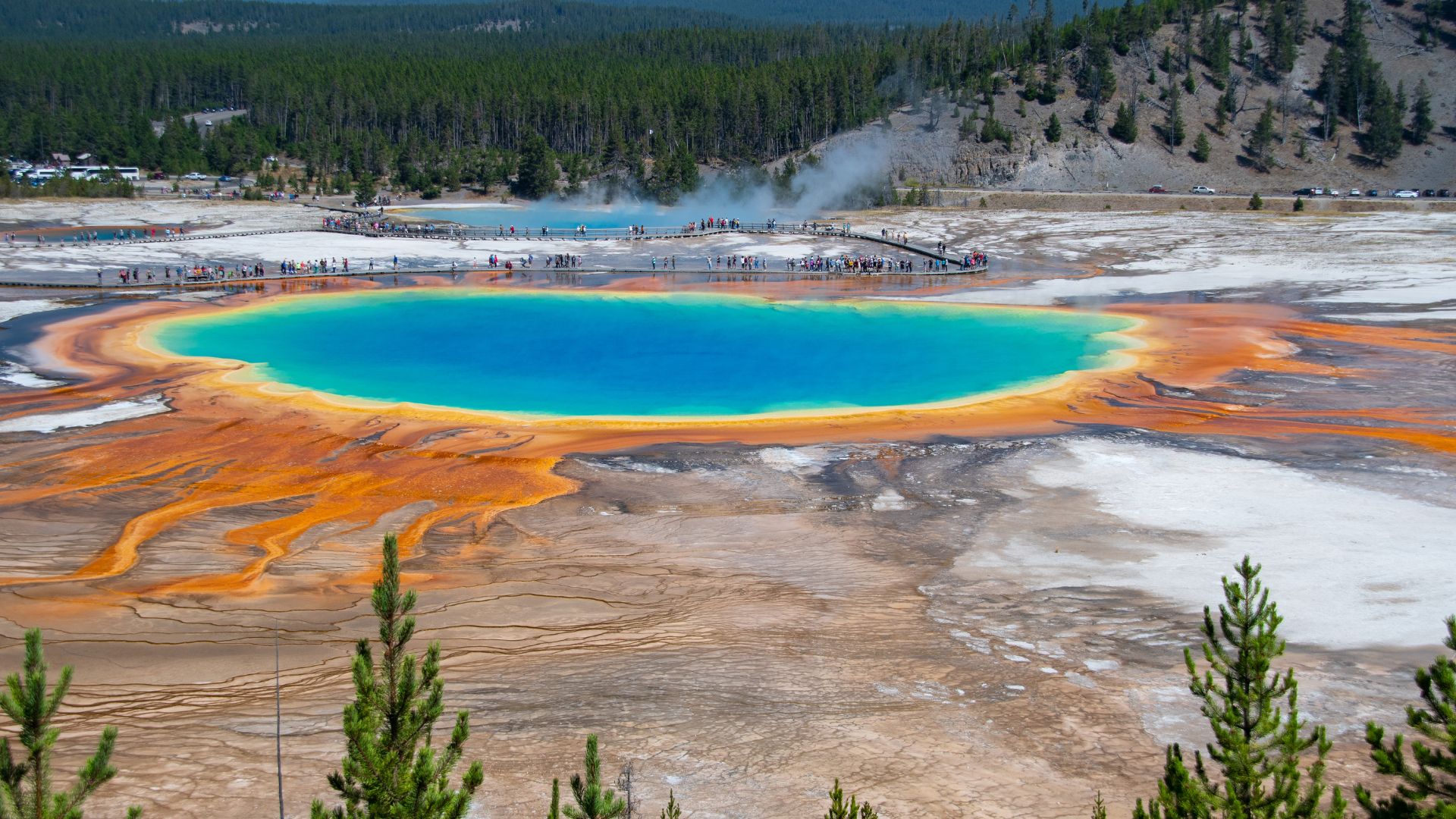 Yellowstone; The Grand Prismatic Spring