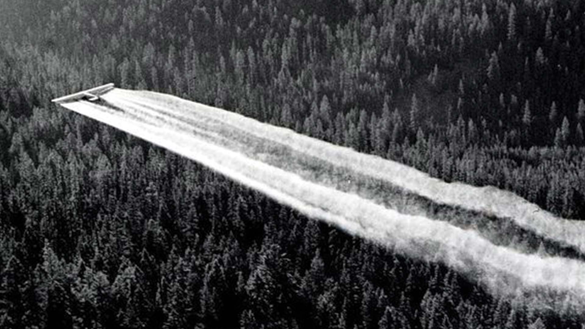 DDT spraying out of plane on forest