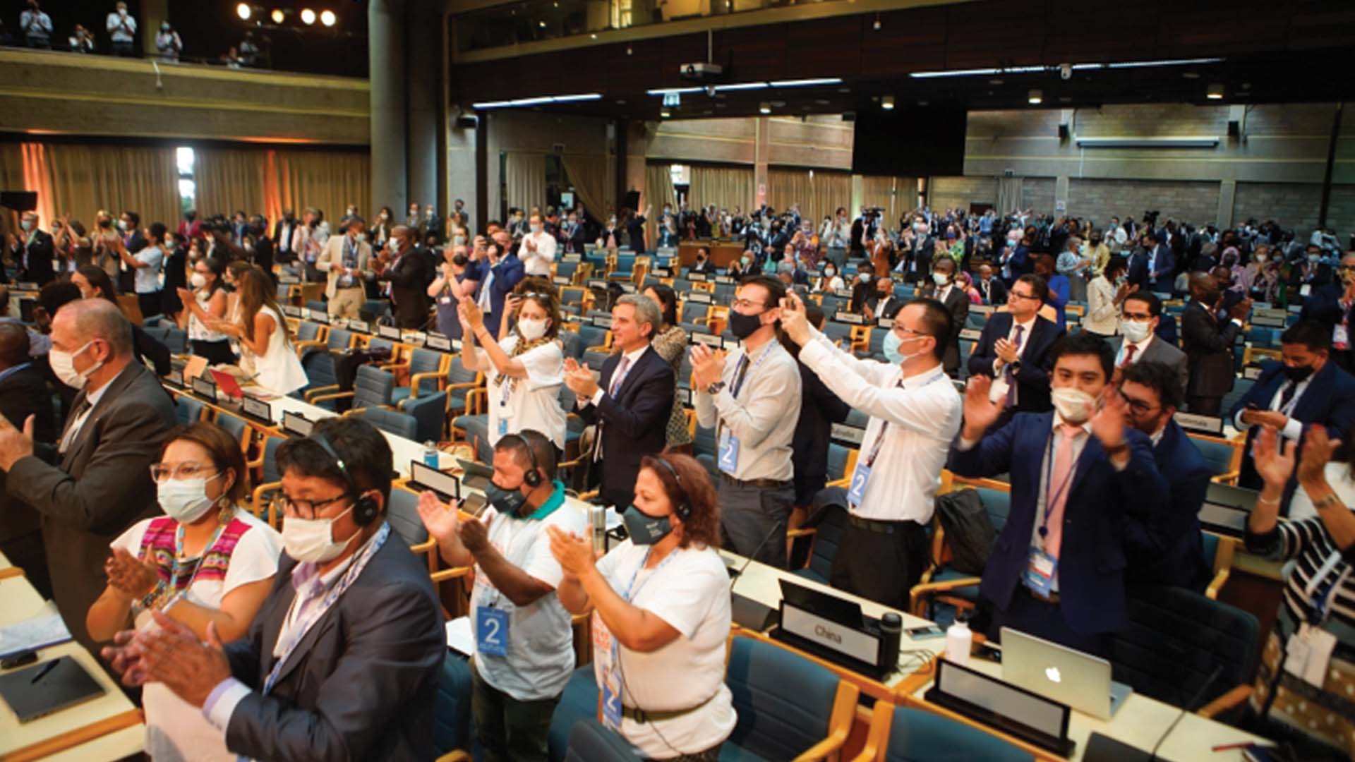 UN delegates give standing ovation after resolution passes