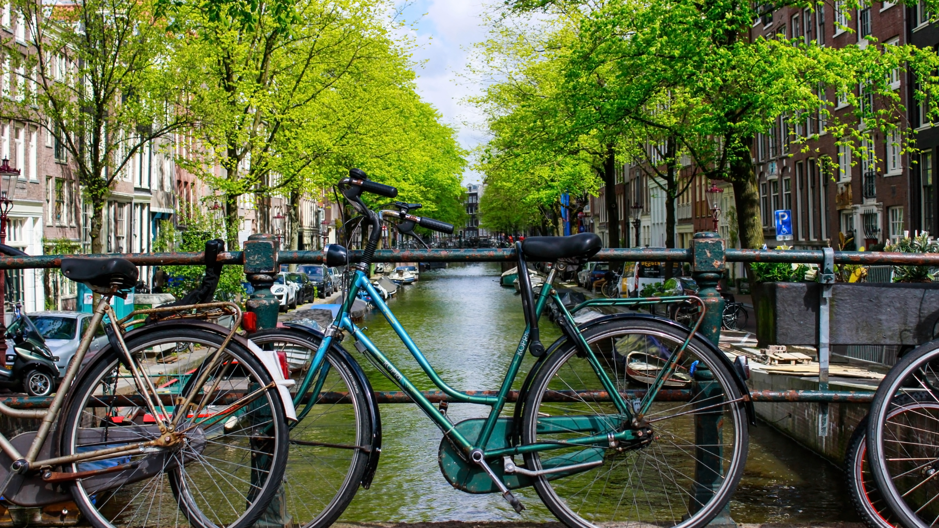 travel sustainably by biking
