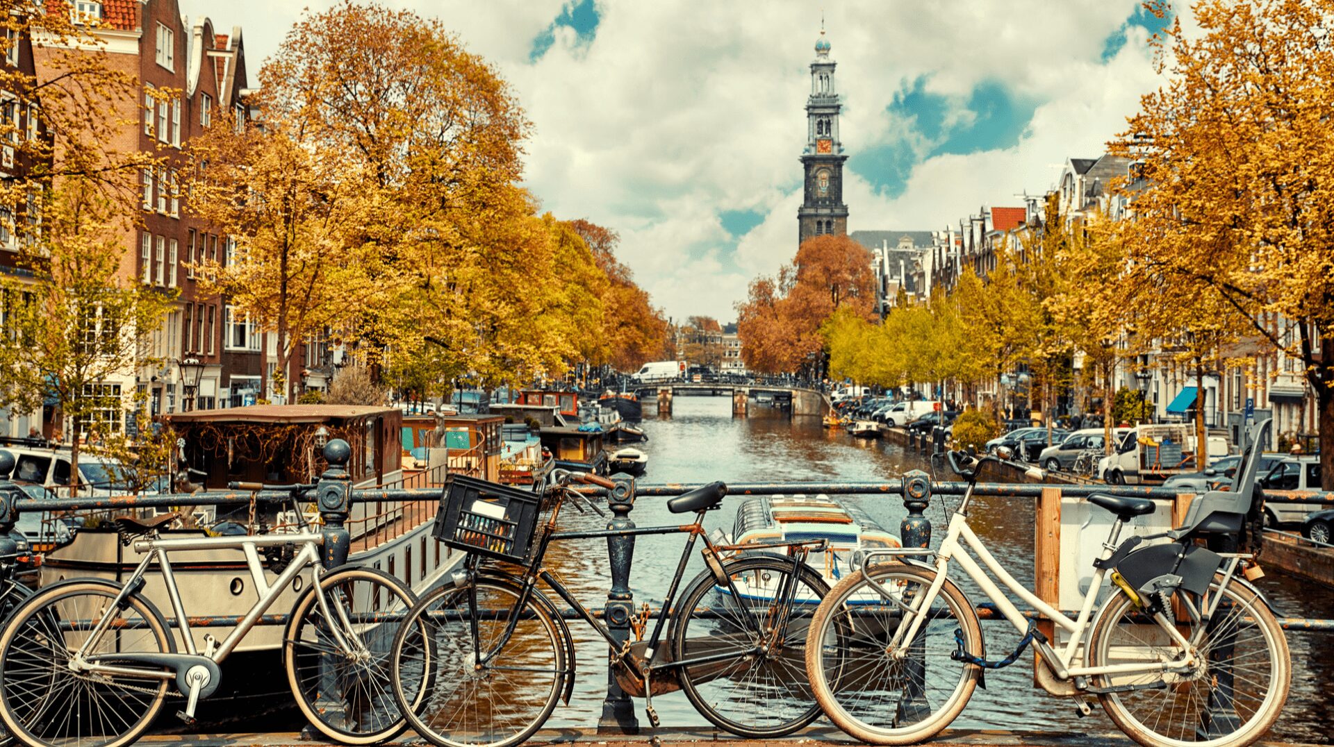 90 percent of Amsterdam households own a bike 