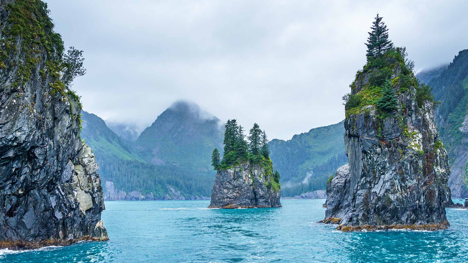 Kenai Fjords, Alaska US National Parks Summer 2022