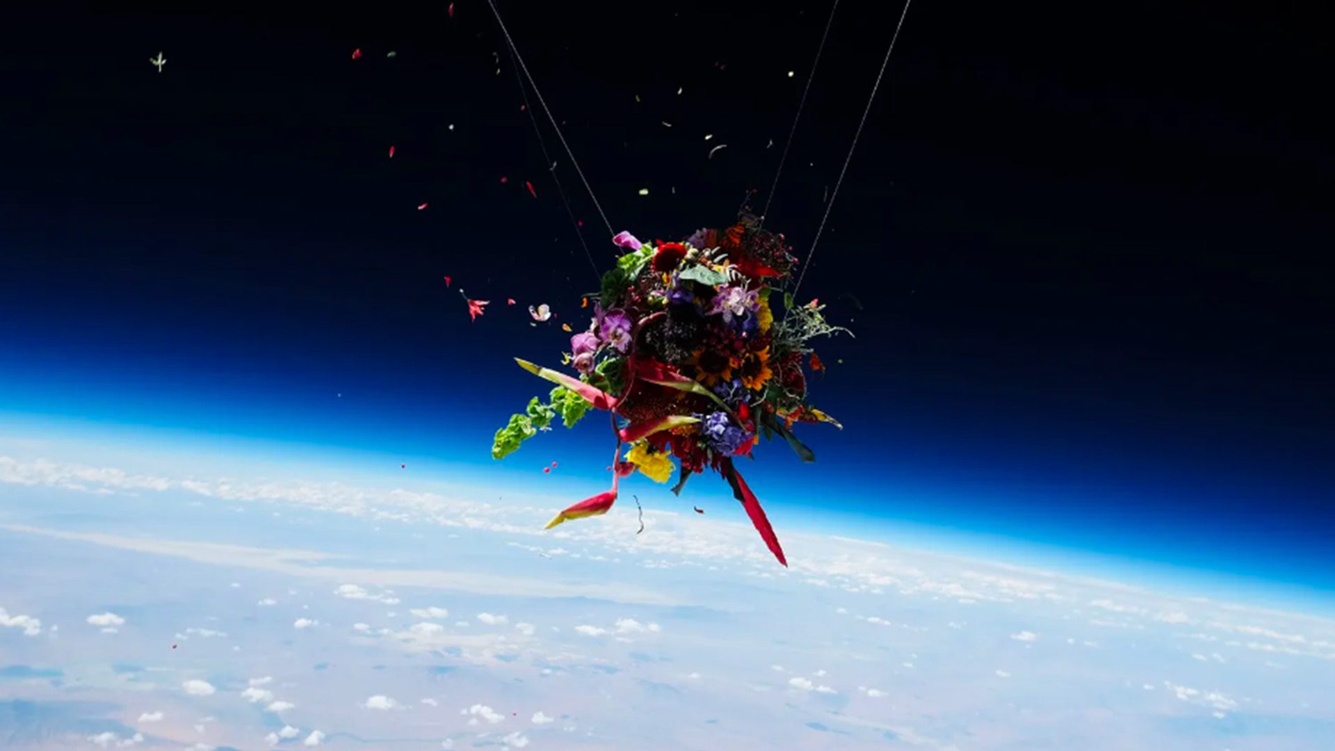 Makoto Azuma 2017 Balloons Flowers Space Art AMKK Makoto Azuma 2017 Balloons Flowers Space Art AMKK