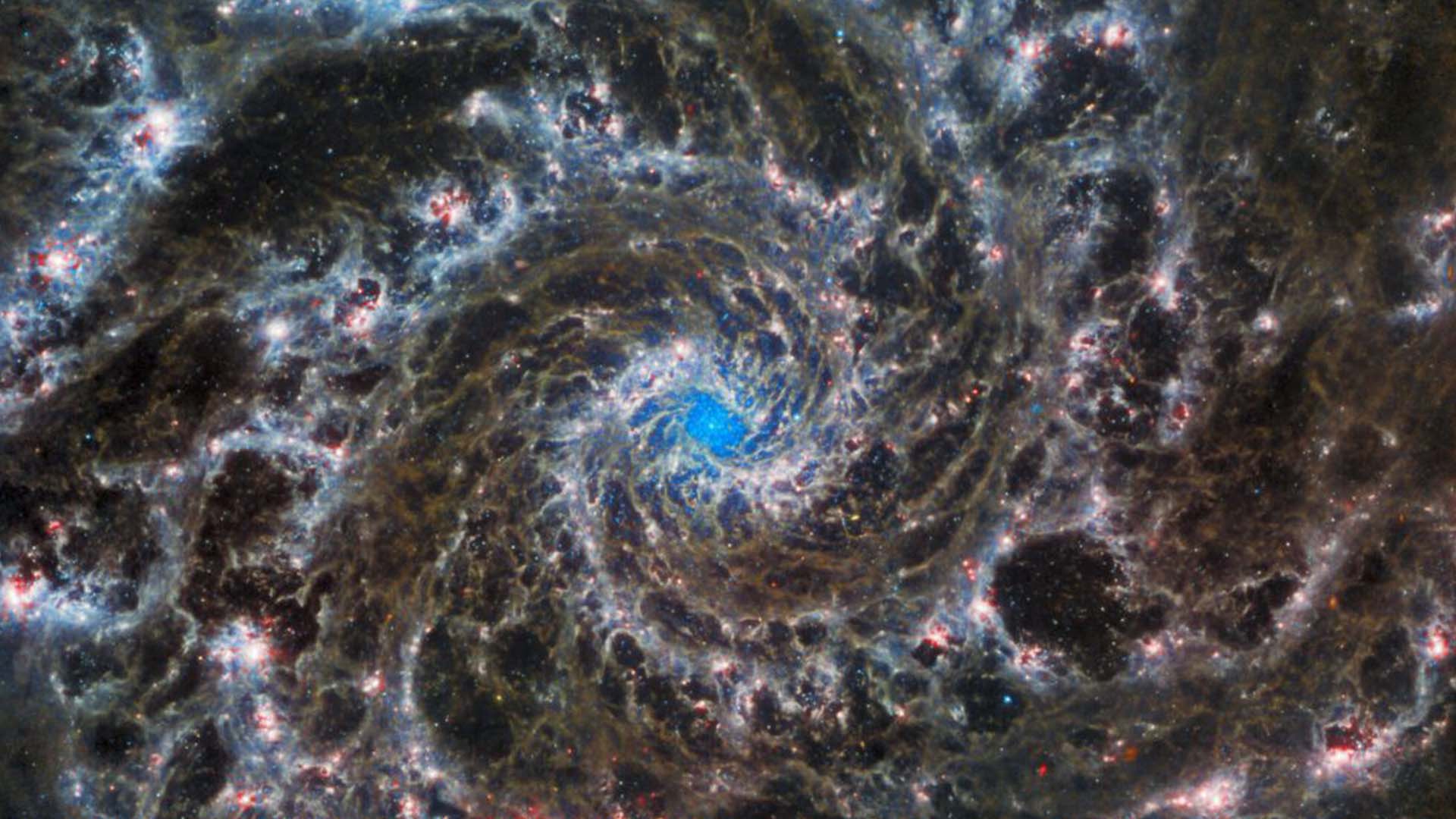 Phantom Galaxy as captured by the James Webb Space Telescope