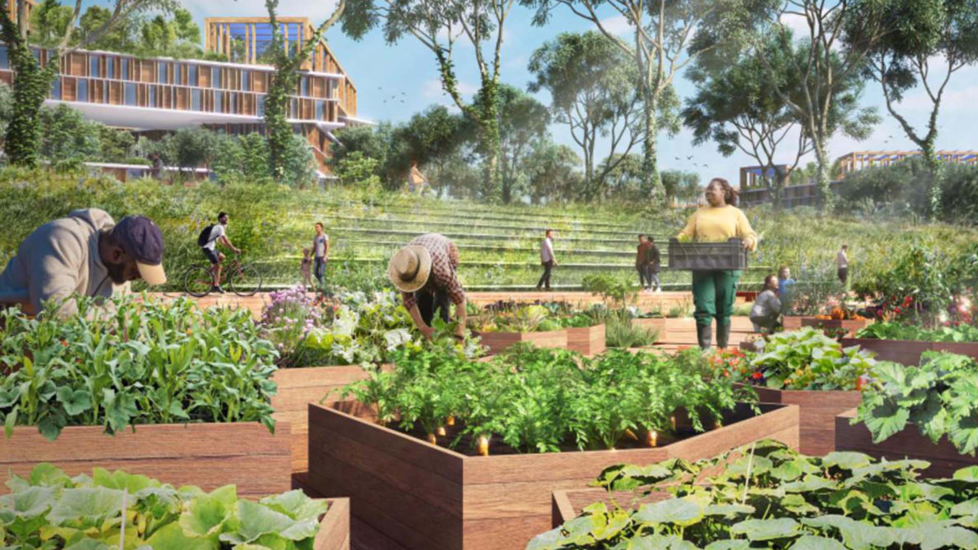 Artist rendering of THE PARKS' urban farming with residents farming