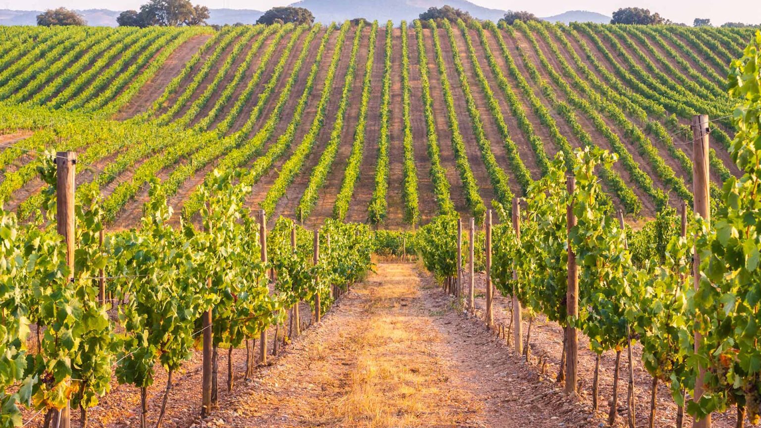 2023 BEST TRAVEL DESTINATIONS visual data 2