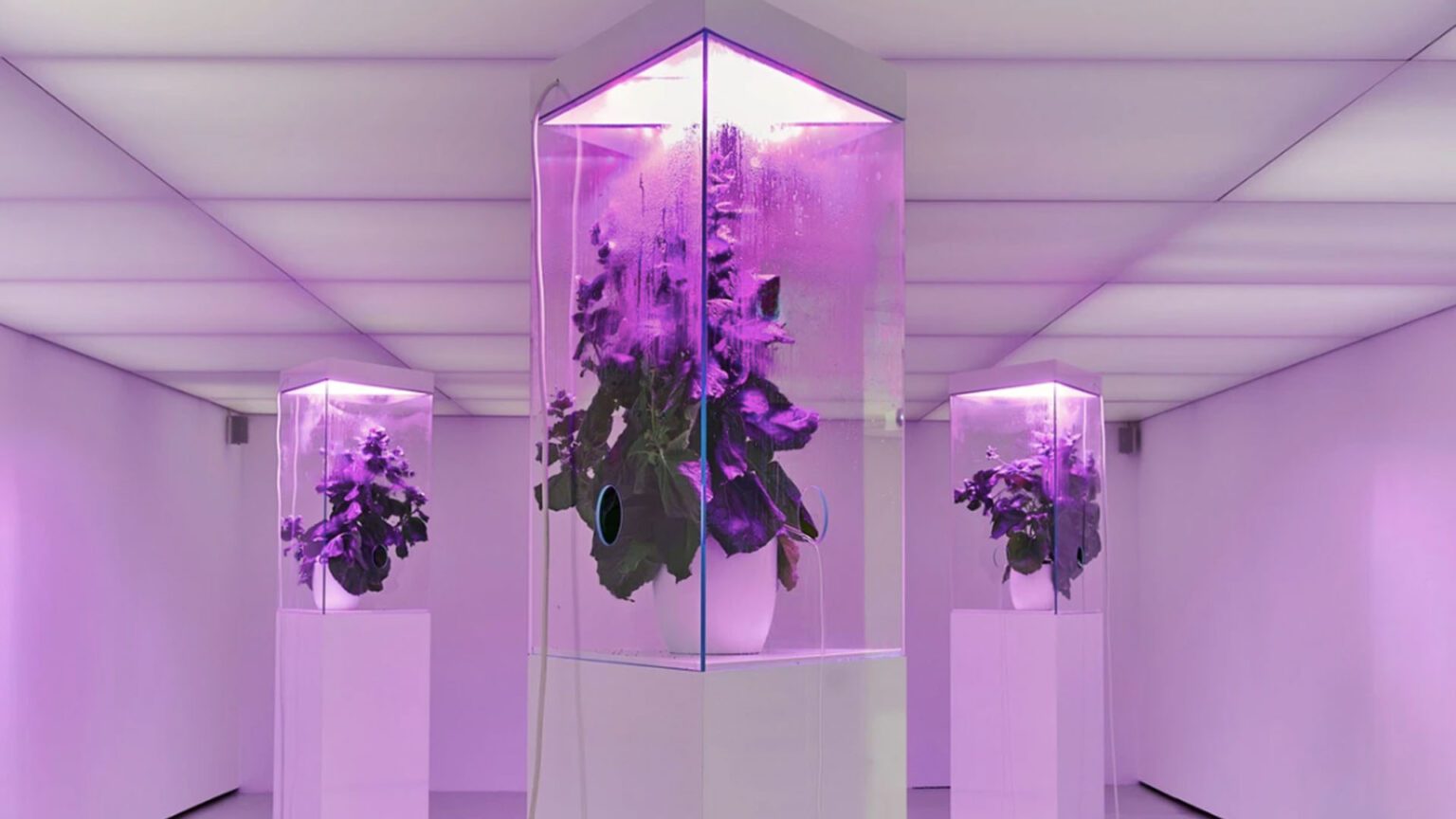 Art Trends to Watch in 2023 TOMORROW’S WORLD TODAY®