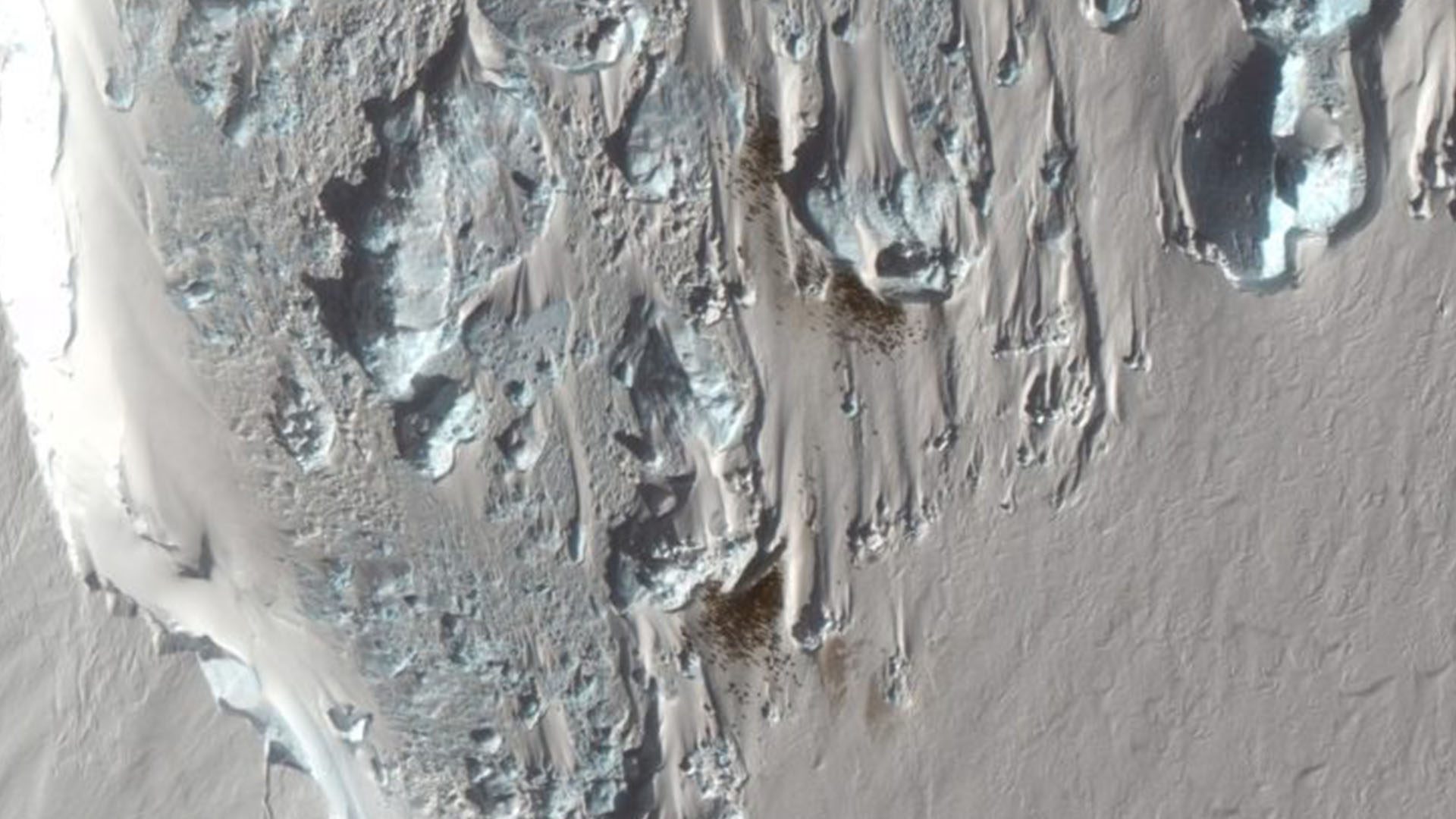 Maxar Technologies Satellite Images Emperor Penguin Colony Discovered Maxar Technologies Satellite Images Emperor Penguin Colony Discovered