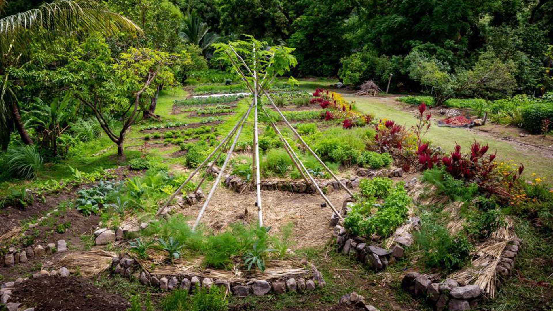 An interactive experience includes a labyrinth garden JADE MOUNTAIN