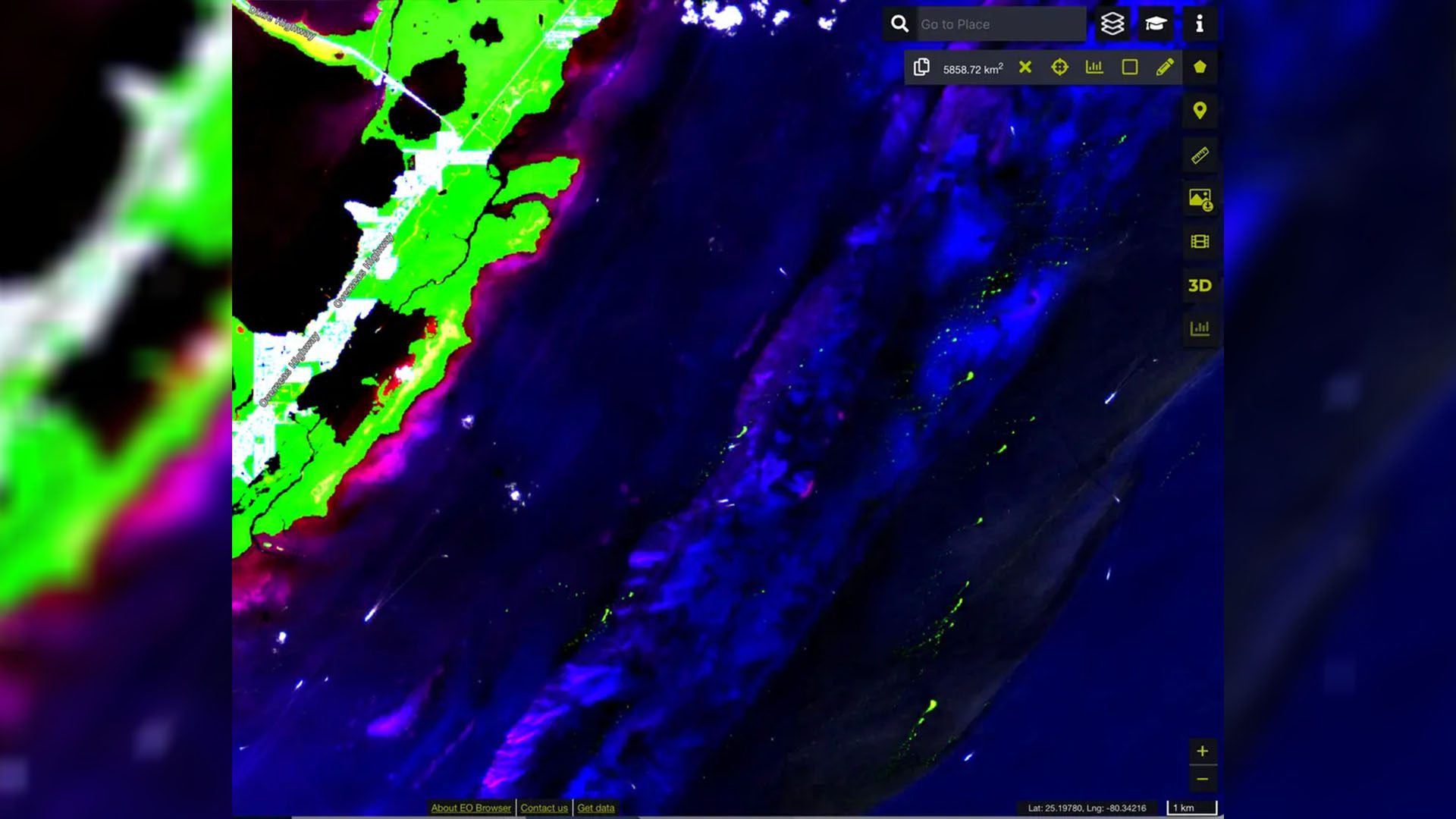 A satellite image shows a gigantic raft of sargassum off the coast of Key Largo, FL; Photo Credit: University of South Florida Optical Oceanography Laboratory
