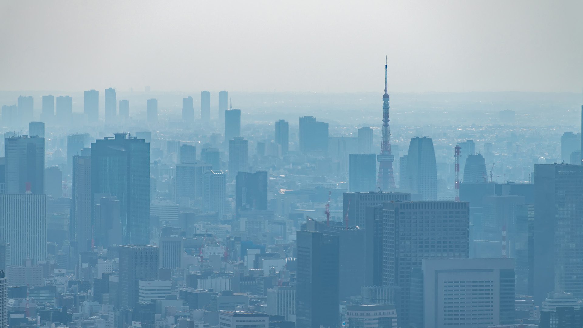 Tokyo Air Pollution