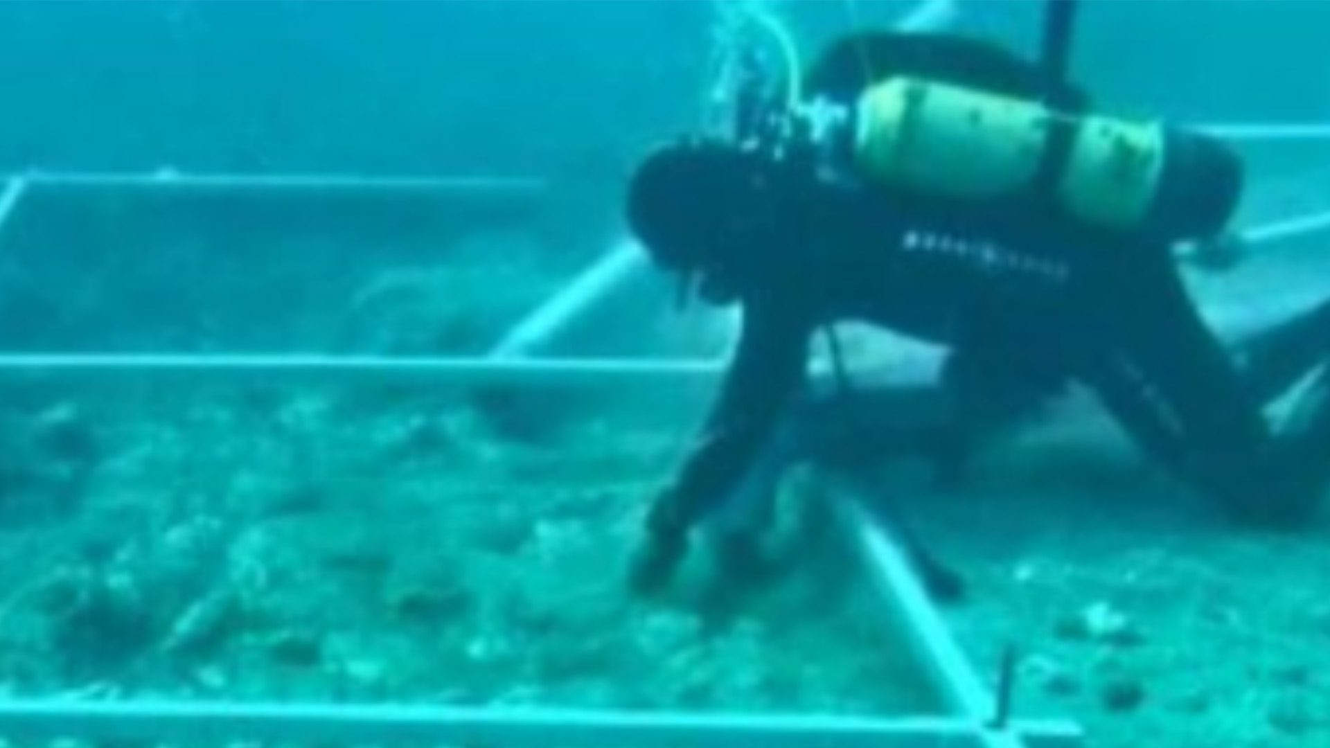 A diver investigating the underwater road off the island of Korčula