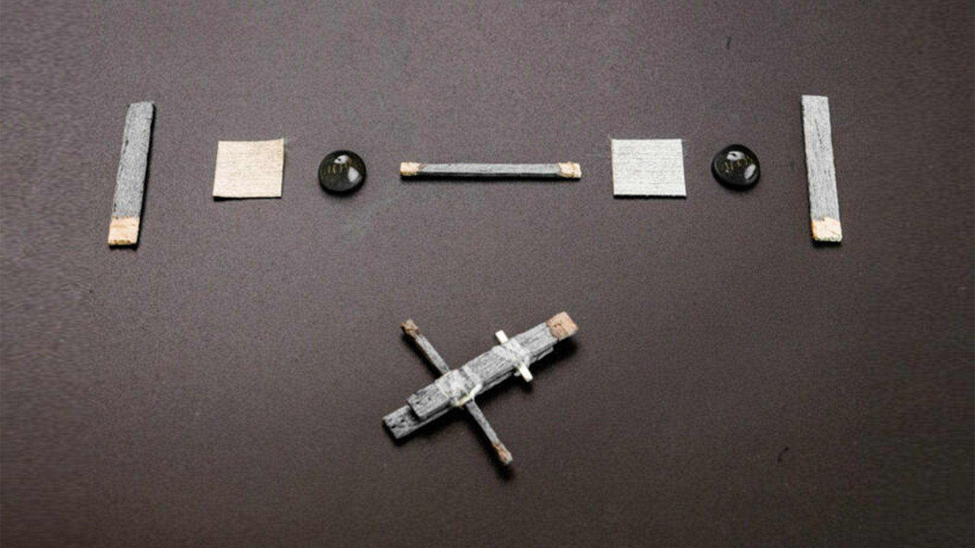 The components of the wood transistor