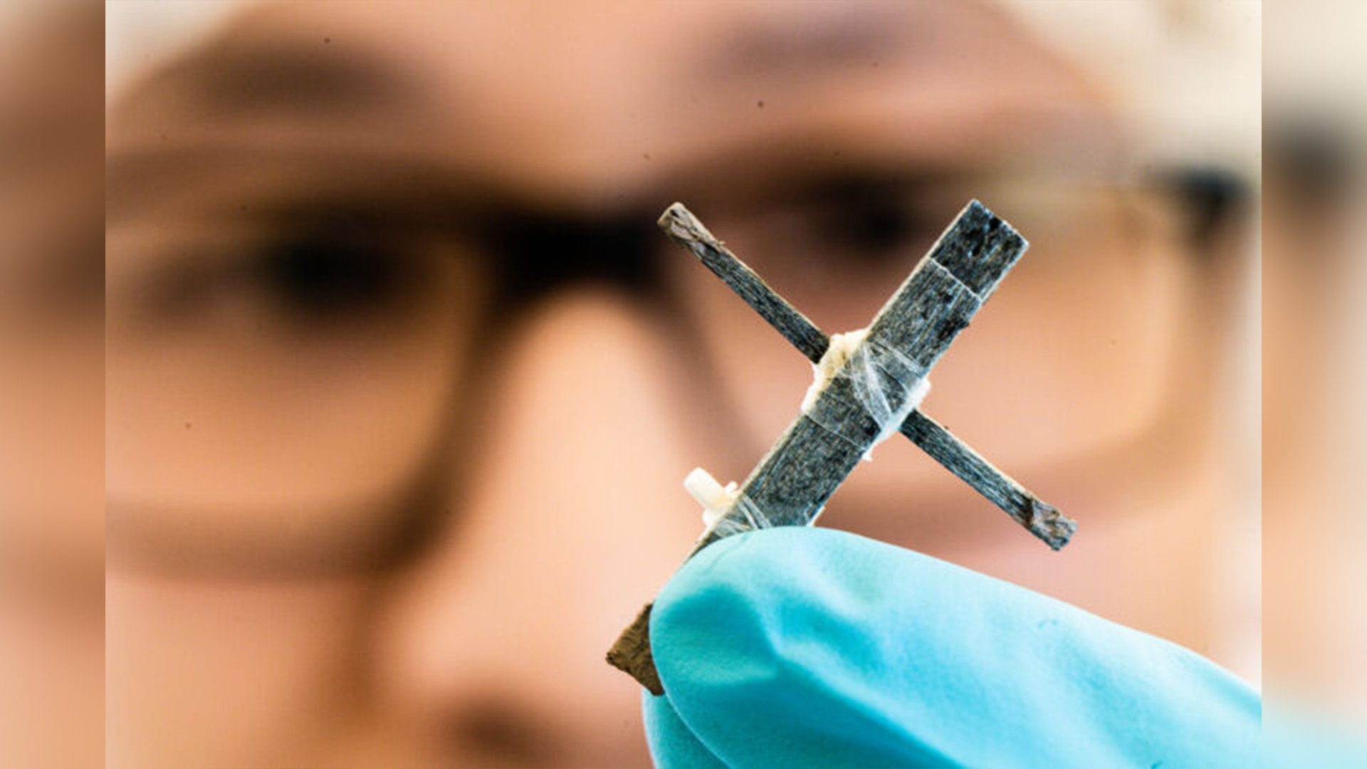 Researcher with the wooden transistor