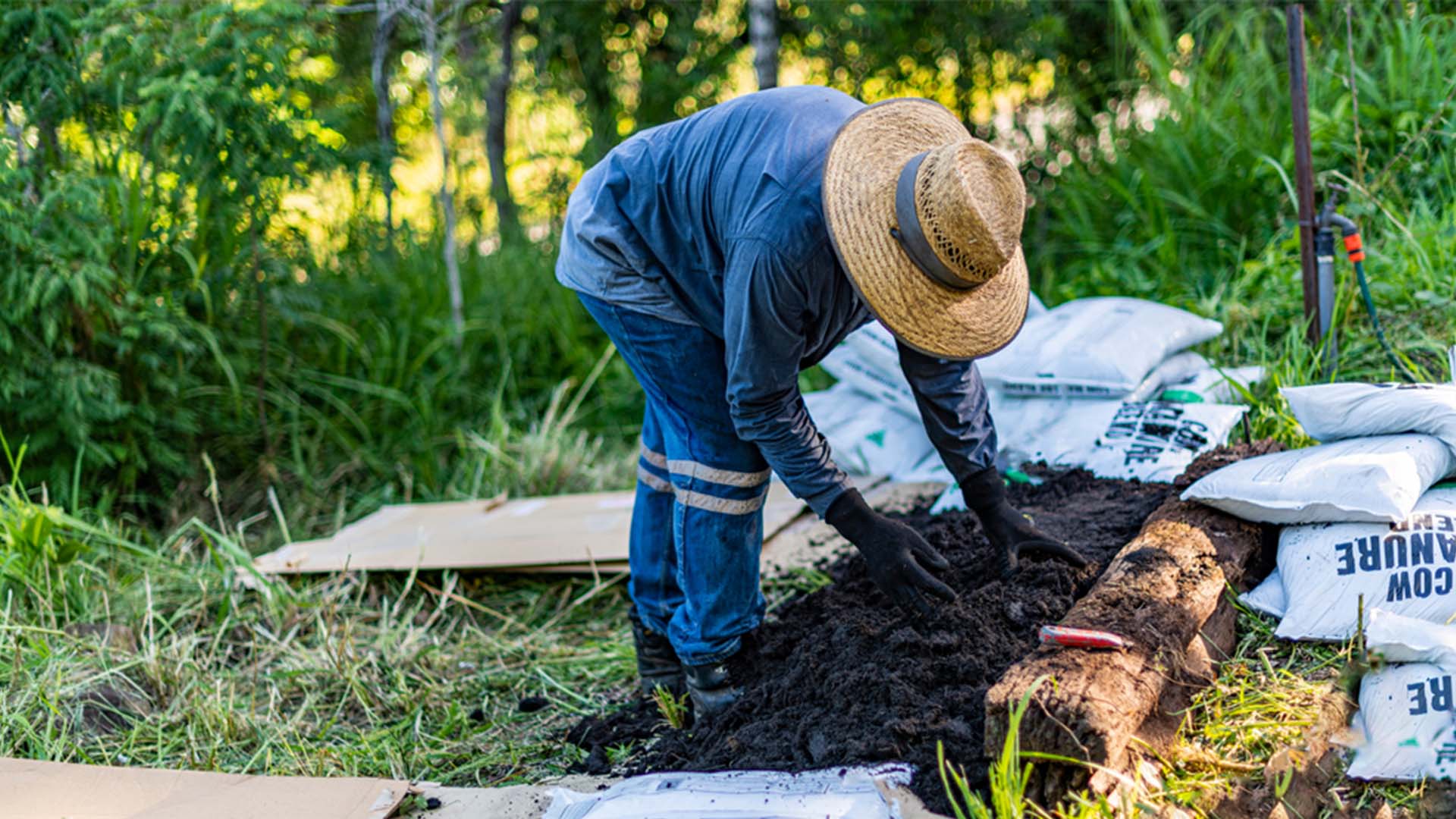 No-Dig Gardening Method Sustainable Gardening