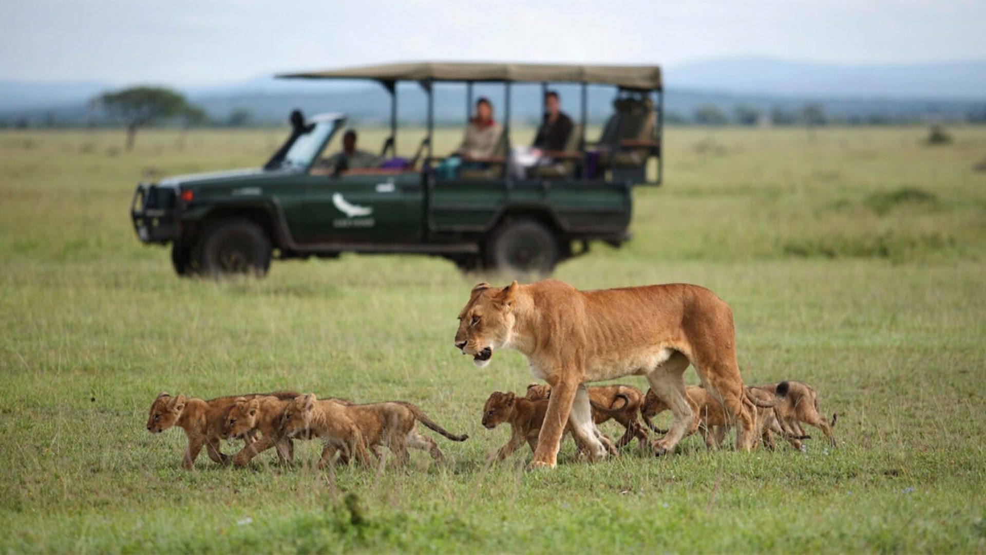 andBeyond Grumeti Serengeti River Lodge Tanzania Nature