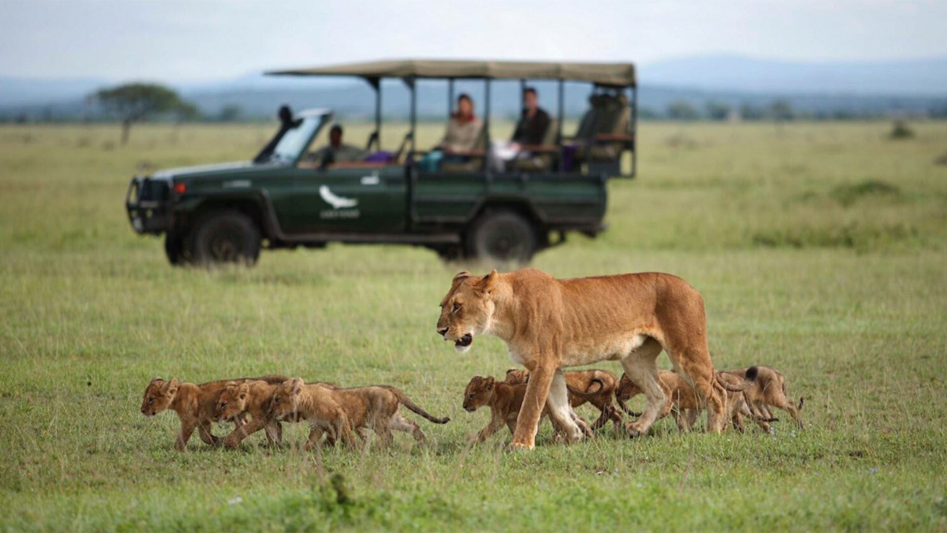 andBeyond Grumeti Serengeti River Lodge Tanzania Nature