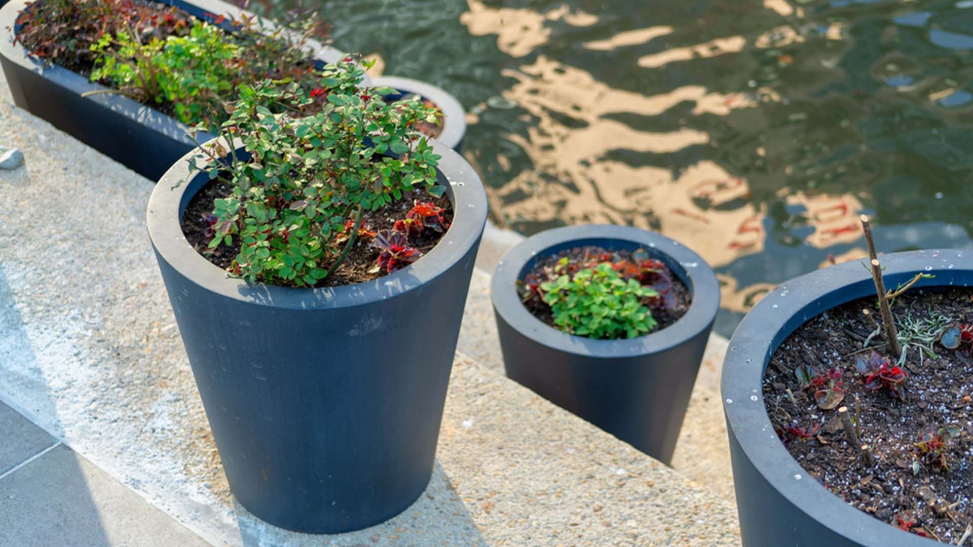 Choosing Containers Potted Plants Porch Summer