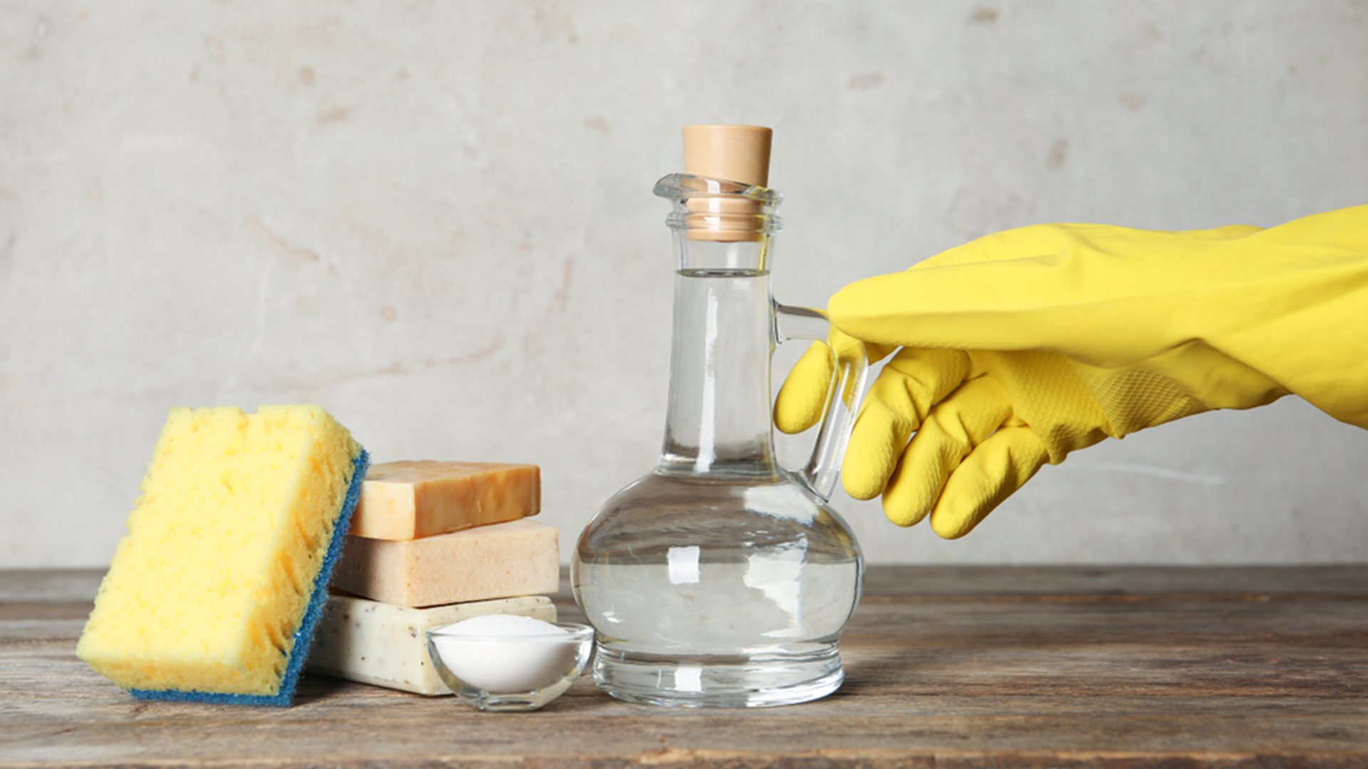 Vinegar Repel and Trap Insects At Home