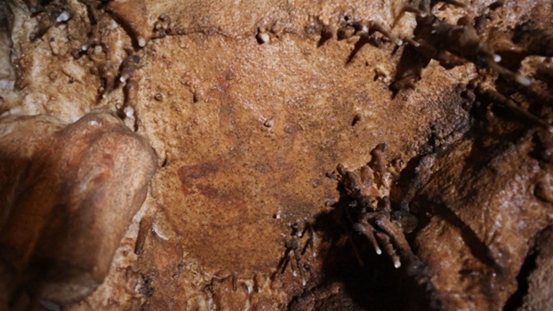Cave of Prehistoric Art Discovered