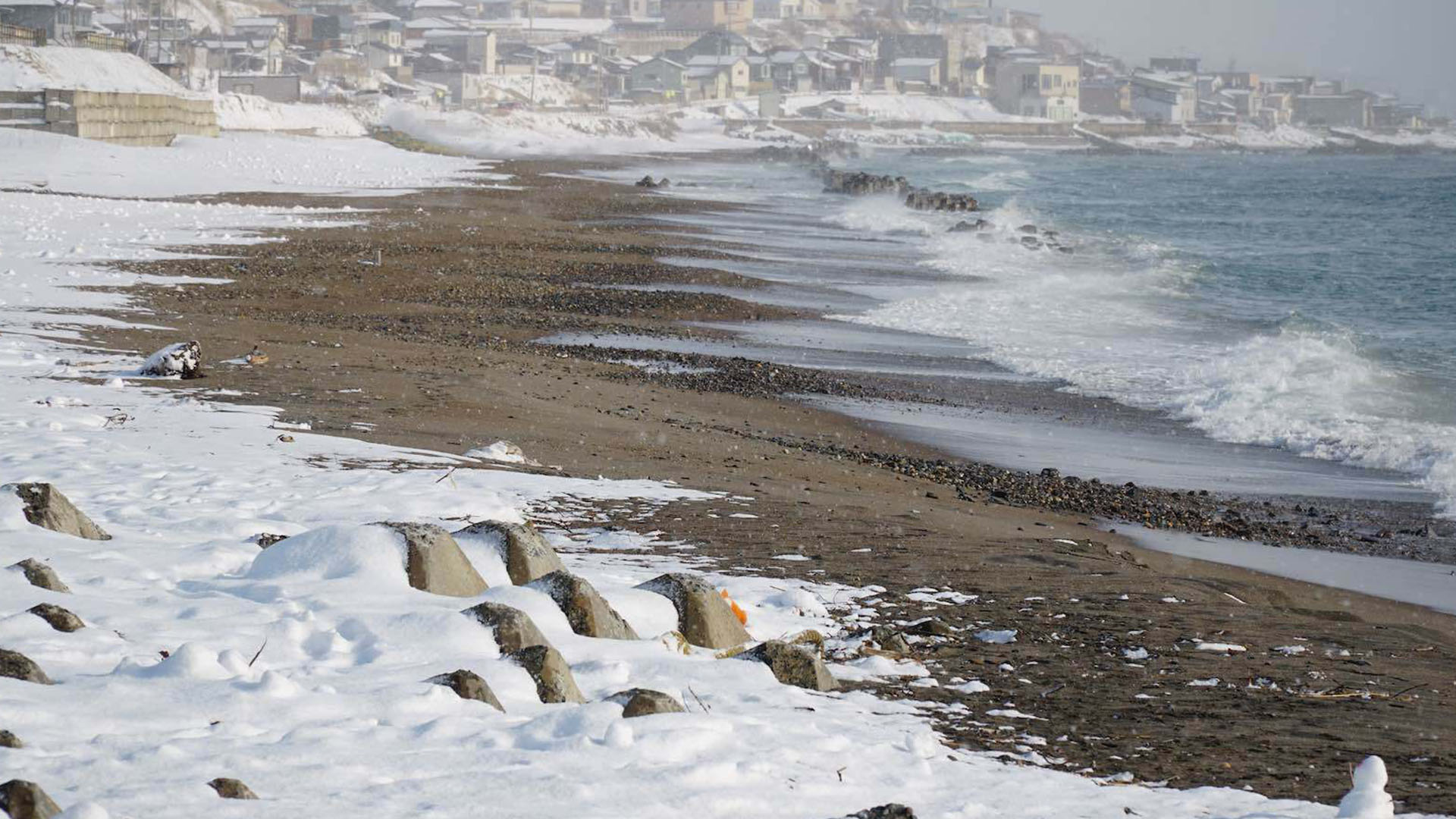 Hokkaido Beach Sand and Snow Realistic Wanderlust