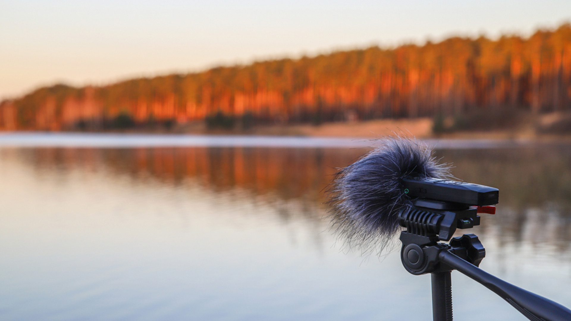 Person Recording Sounds of Nature Benefit Mental Health