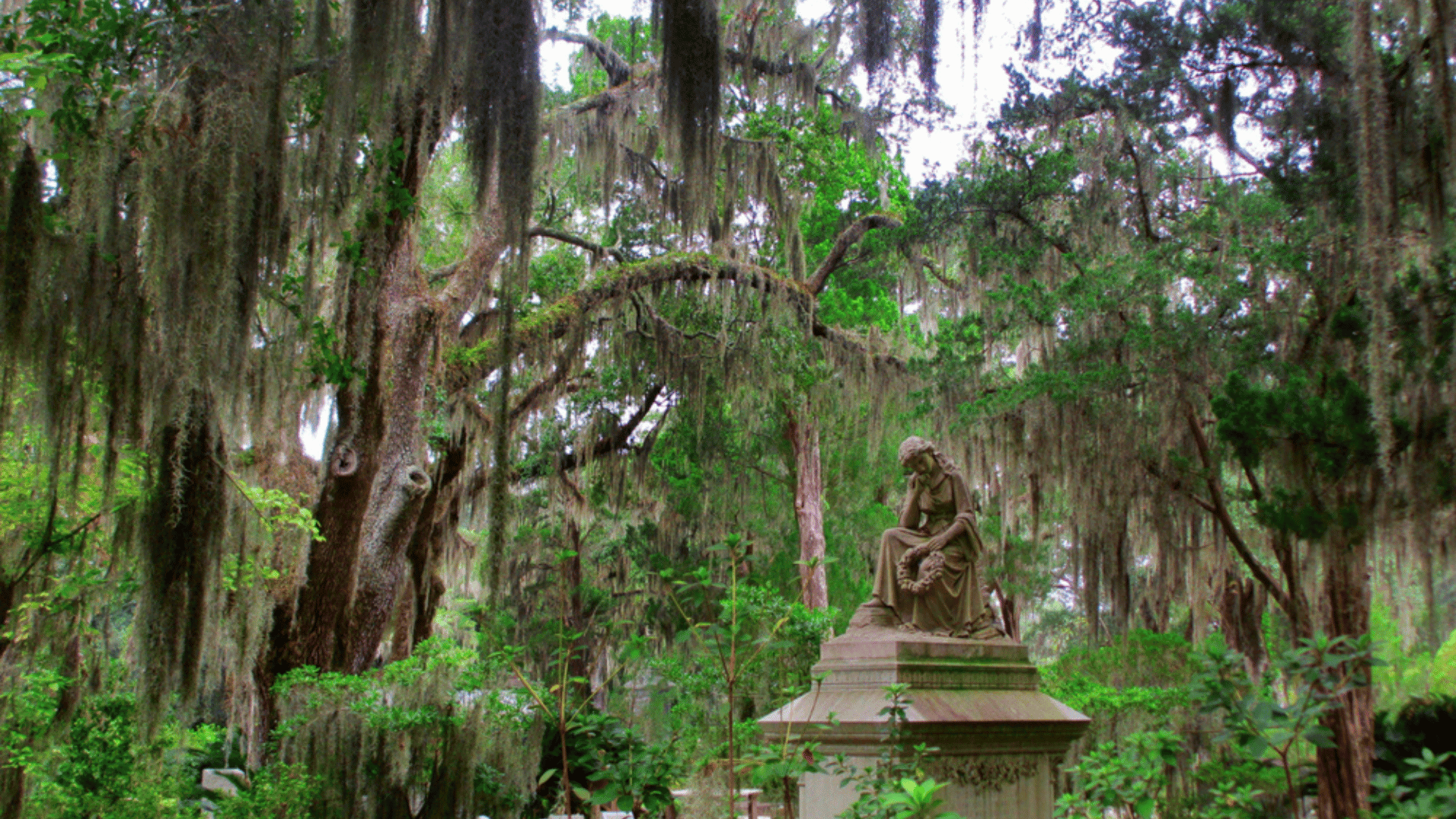 Bonaventure Cemetery, Savannah, Georgia