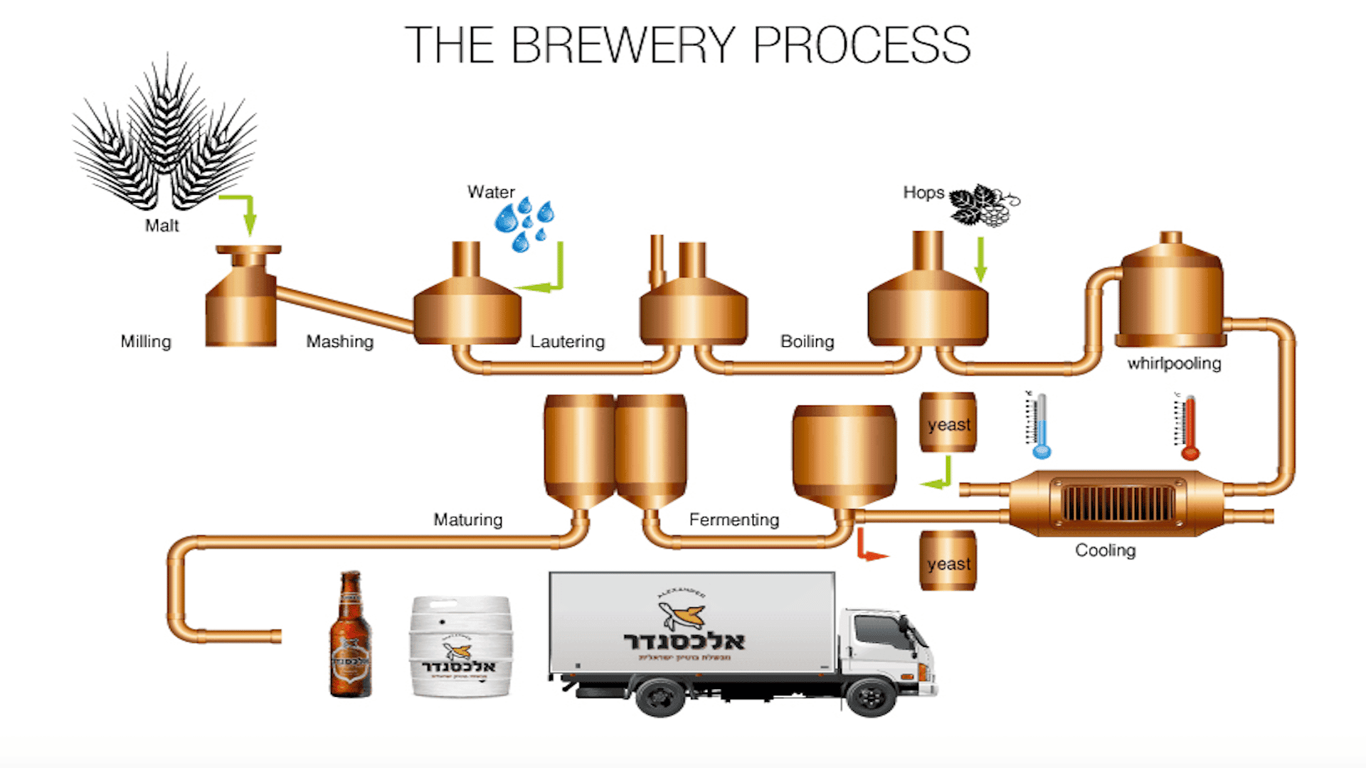 Alexander's sustainable brewing process 