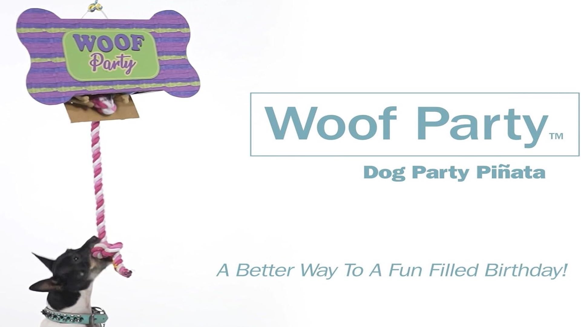 Woof party dog piñata