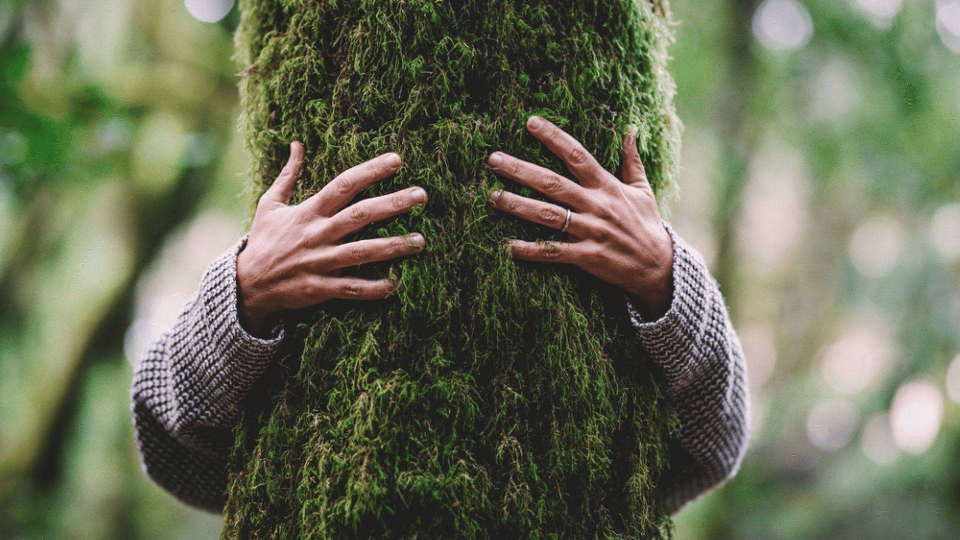 How Being In Nature Enhances Cognitive Functions