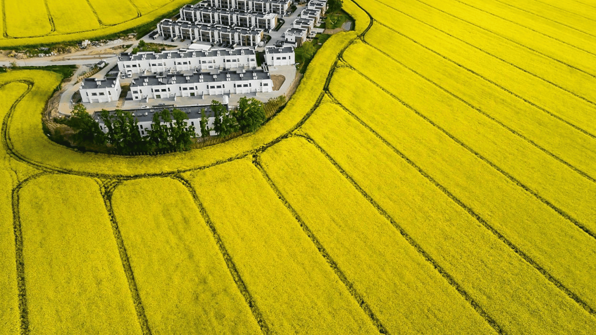 Nature Conservancy Photography Awards LIVING INSIDE THE YELLOW FIELDS Agnieszka Wieczorek:TNC Photo Contest 2023